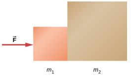 Dois quadrados são mostrados lado a lado, tocando um no outro. O esquerdo é menor e é rotulado como m1. O da direita é maior e é rotulado como m2. A força F atua em m1 da esquerda para a direita.