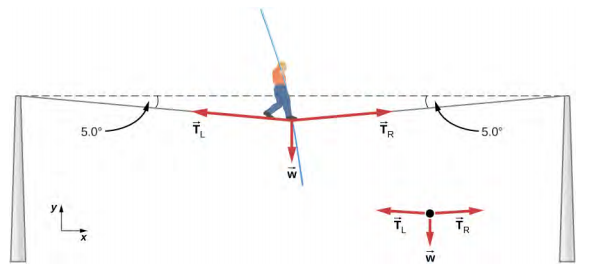 图中显示一名男子站在由两根杆支撑的钢丝的中心。 绳子在他的重量下垂，与每根杆的水平线成5度的角度。 标有 TL 和 TR 的箭头大致分别指向左和向右，与绳子平行。 标有 w 的箭头指向该男子的正下方。 这三个箭头也显示在自由身体图中。