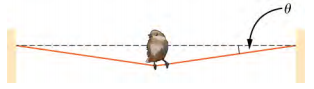 A figura mostra um pássaro sentado em um fio que é fixado nas duas extremidades. O fio cede com seu peso, formando um ângulo teta com a horizontal em ambos os lados.