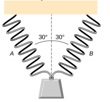 该图显示了两个相同的弹簧并排悬挂。 它们的下端聚集在一起，可以支撑重量。 每个弹簧与垂直方向成30度的角度。