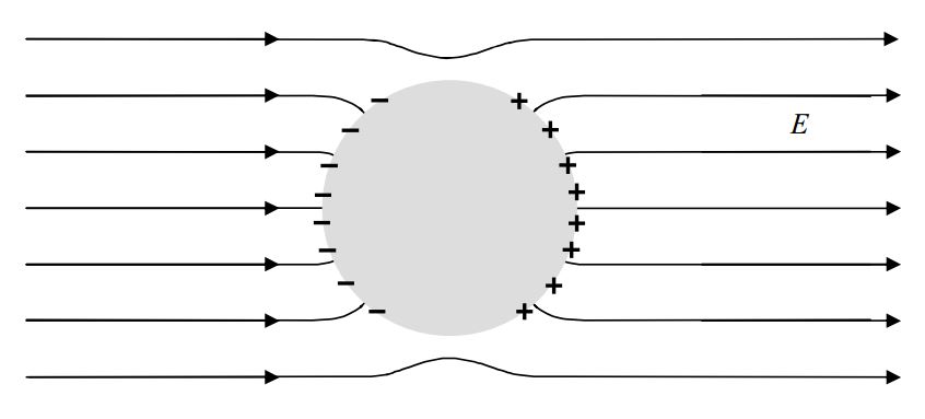 B4: Conductors And The Electric Field - Physics LibreTexts