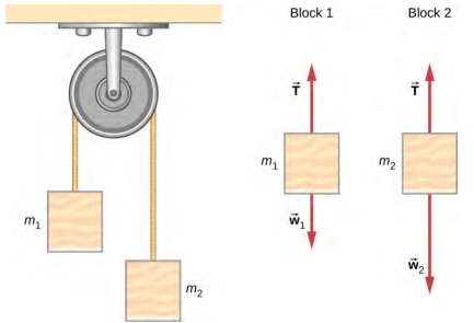 An Atwood machine consists of masses suspended on either side of a pulley by a string passing over the pulley. In the figure, mass m sub 1 is on the left and mass m sub 2 is on the right. The free body diagram of block one shows mass one with force vector T pointing vertically up and force vector w sub one pointing vertically down. The free body diagram of block two shows mass two with force vector T pointing vertically up and force vector w sub two pointing vertically down.