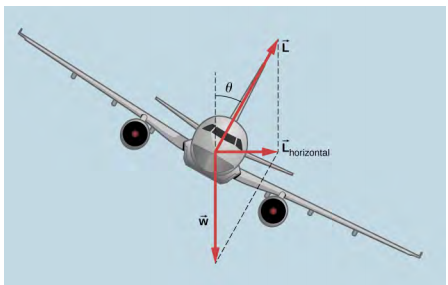 An illustration of an airplane coming toward us and banked (that is, tilted) by an angle theta in the clockwise direction, again as viewed by us. The weight w is shown as an arrow pointing straight down. A force L is shown pointing perpendicular to the wings, at an angle theta to the right of vertically up. The horizontal component of the force L is shown pointing to the right and is labeled as vector L sub horizontal. Dashed lines complete the parallelogram defined by vectors L and w, and show that the vertical component of L is the same size as w.