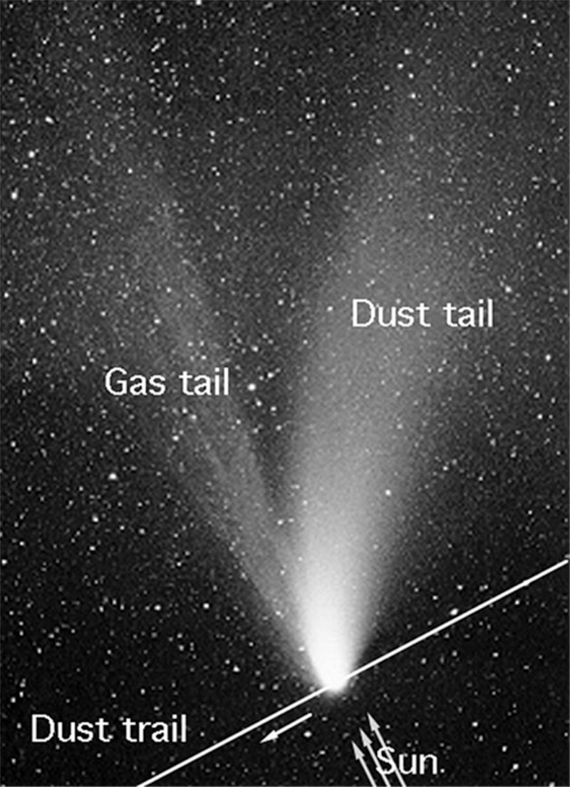 The parts of a comet-- dust tail and gas tail-- as seen from Earth, except we do not see the comet’s nucleus.