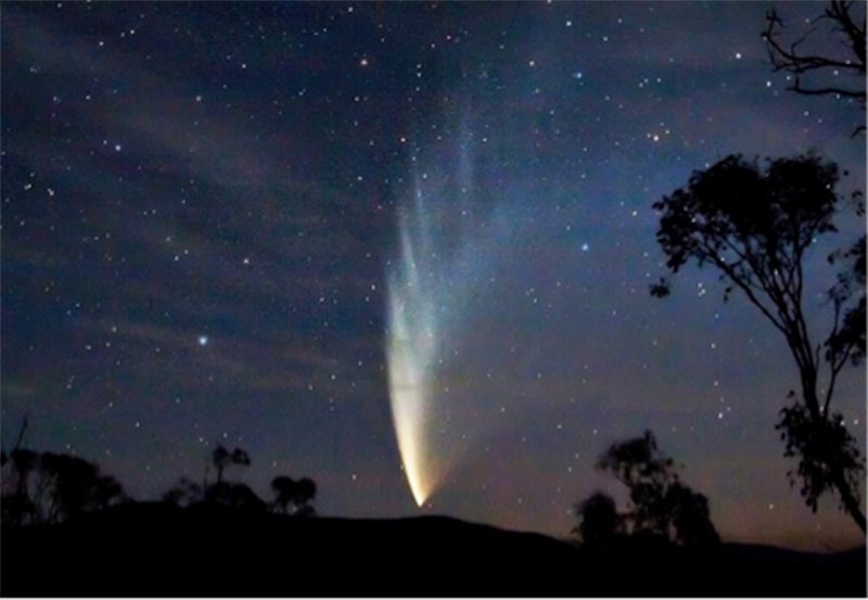 Image of Comet McNaught across the night sky.