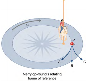 An illustration of the circular base of a merry-go-round with a single horse and child on it. The angular velocity, omega, is clockwise, shown here with an arrow. A point P is shown near the horse, on a circle concentric with the merry-go-round. Three arrows are shown coming out of point P, depicting the three possible path of the lunch box. Path A curves into the circle, to the right from the perspective of the box. Path B is straight, tangent to the circle. Path C curves to the left from the perspective of the box, out of the circle.