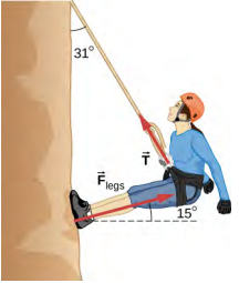 Une alpiniste est attirée penchée loin de la paroi rocheuse, les pieds contre la paroi rocheuse. La corde s'étend du grimpeur à un angle de 31 degrés par rapport à la verticale. Les jambes du grimpeur sont droites et forment un angle de quinze degrés avec la paroi rocheuse. Le vecteur de force F sub T part du harnais et pointe à l'opposé du grimpeur, le long de la corde. Le vecteur de force F sous les jambes commence aux pieds de la grimpeuse et pointe à l'opposé du rocher, parallèlement à ses jambes.