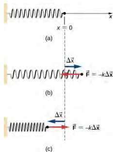 左端附着在墙上的水平弹簧以三种不同的状态显示。 在所有图中，位移 x 是根据弹簧右端从其平衡位置向右侧的位移来测量的。 在图 a 中，弹簧松动，右端在 x = 0 处。 在图 b 中，弹簧被拉伸。 弹簧的右端是 x = 0 右侧的向量 delta x，感觉向左力 F 等于减去 k 乘以向量 delta x。在图 c 中，弹簧被压缩。 弹簧的右端是 x = 0 左侧的向量 delta x，感觉向右力 F 等于减去 k 乘以向量 delta x。