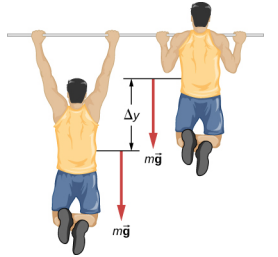 A figura é uma ilustração de uma pessoa fazendo uma flexão. A pessoa se move a uma distância vertical de Delta y durante o puxão para cima. Uma força descendente de m vezes o vetor g é mostrada atuando na pessoa nas posições superior e inferior da tração para cima.