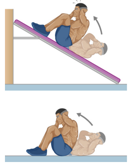 一个人在倾斜的木板上（双脚高于头顶）做仰卧起坐的插图，以及一个人在水平表面上仰卧起坐的插图。