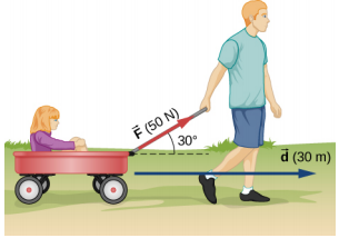 Uma pessoa está puxando uma carroça com uma garota nela. A pessoa está puxando com o vetor de força F de 50 Newtons em um ângulo de 30 graus em relação à horizontal. O deslocamento é um vetor d de 30 metros.