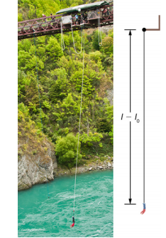 A fotografia de uma pessoa pulando de uma ponte acima de um rio é acompanhada por uma ilustração da situação. A ilustração mostra o saltador na posição mais baixa e o elástico esticado por uma distância l menos l abaixo de zero.