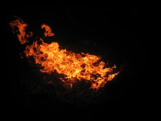 The figure shows a campfire. Some small logs are burning and the flames above them are visible against a dark background.
