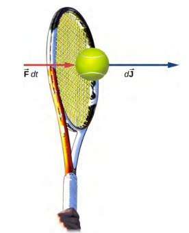 Dessin d'une raquette de tennis frappant une balle de tennis. Deux flèches pointant vers la droite sont tracées près du ballon. L'un est étiqueté vecteur F d t et l'autre est étiqueté vecteur d J.