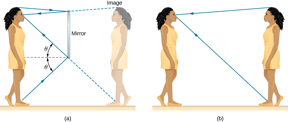 Figure a is a drawing of a  girl standing in front of a mirror and looking at her image. The mirror is about half as tall as the girl, with the top of the mirror above her eyes but below the top of her head.  The light rays from her feet reach the bottom of the mirror and reflect to her eyes following the law of reflection: the angle of incidence theta is equal to the angle of reflection theta. The rays from the top of her head reach the top of the mirror and reflect to her eyes. Figure b is a drawing of the same girl looking at her twin. The twin is facing her and is at the same location, relative to her, that her image is in figure a. The rays from the twin’s feet and head travel directly to the girl’s eyes, reaching them in the same direction as the reflected rays in figure a.