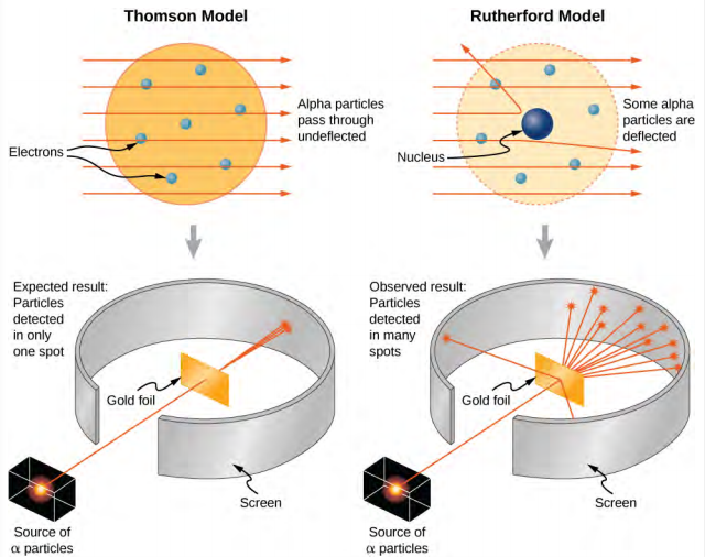Illustrations of the Thomson and Rutherford models of the atom and the associated experiments. The Thomson model has electrons, illustrated as small solid balls distributed throughout a large, uniform sphere. Alpha particles pass through undeflected. Several trajectories of alpha particles, incident from the left and travelling horizontally to the right are shown as straight, parallel lines that pass through the atom unchanged. The experiment consists of a collimated source of alpha particles. The beam of particles passes through a gap in a screen that surrounds a gold foil target. The beam passes through the target, spreading a little, but hitting the screen in a small spot on the far side of the screen. The expected result is particles detected in only one spot. The Rutherford model has electrons, illustrated as small solid balls distributed throughout the atom, but the nucleus is a small sphere in the center. Several trajectories of alpha particles, incident from the left and travelling horizontally to the right are shown as straight, parallel lines as they enter the atom. Some pass through unchanged, one is bent slightly away from its original direction, and is bent back at an angle large than 90 degrees. The experiment consists of a collimated source of alpha particles. The beam of particles passes through a gap in a screen that surrounds a gold foil target. The beam passes through the target, most of it passing through but spreading significantly and hitting the screen on the far side over an extended region, and a few of the particles hitting the screen on the same side of foil as the source. The expected result is particles detected in many spots.