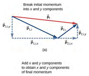 Figure a, titled break initial momentum into x and y components shows vector p 1 i as a solid arrow pointing to the right and down. Its components are shown as dashed arrows: p 1 i y points down from the tail of p 1 i and p 1 i x points to the right from the head of p 1 i y to the head of p 1 i. Vector p 2 i is shown as a solid arrow with its tail at the head of vector p 1 i, and is shorter than p 1 i. Vector p 2 i points to the right and up. Its components are shown as dashed arrows: p 2 i x points to the right from the tail of p 2 i and p 2 i y points up from the head of p 2 i x to the head of p 2 i. Vector p f points from the tail of p 1 i to the head of p 2 i, pointing to the right and slightly down. Figure b titled add x and y components to obtain x and y components of final momentum shows the vector sums of the components. P 1 i y is a downward arrow. P 2 i y is a shorter upward arrow, aligned with its tail at the head of P 1 i y. P f y is a short downward arrow that starts at the tail of P 1 i y and ends at the head of P 2 i y. P 1 i x is a rightward arrow. P 2 i x is a shorter rightward arrow, aligned with its tail at the head of P 1 i x. P f x is a long rightward arrow that starts at the tail of P 1 i x and ends at the head of P 2 i x. Figure c, titled add x and y components of final momentum shows the right triangle formed by sides p f x and p f y and hypotenuse p f. Arrows from figure b indicate that p f x and p f y are the same in figures b and c.