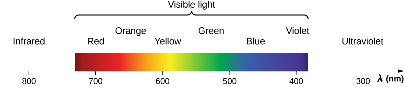 A figura mostra cores que estão associadas a diferentes comprimentos de onda de luz em ordem decrescente de comprimento de onda, lambda, medido em nanômetros. O infravermelho começa em 800 nanômetros. É seguida pela luz visível, que é uma distribuição contínua de cores com vermelho a 700 nanômetros, laranja, amarelo a 600 nanômetros, verde, azul a 500 nanômetros e violeta a 400 nanômetros. A distribuição termina com o ultravioleta, que se estende além do visível até cerca de 300 nanômetros.