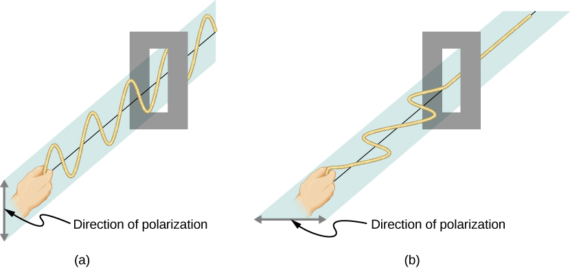 La figure a montre des vagues sur une corde oscillant verticalement qui traversent une fente verticale. L'oscillation verticale est la direction de polarisation. La figure b montre des vagues sur un câble oscillant horizontalement qui ne passent pas par une fente verticale similaire. L'oscillation horizontale est la direction de polarisation.
