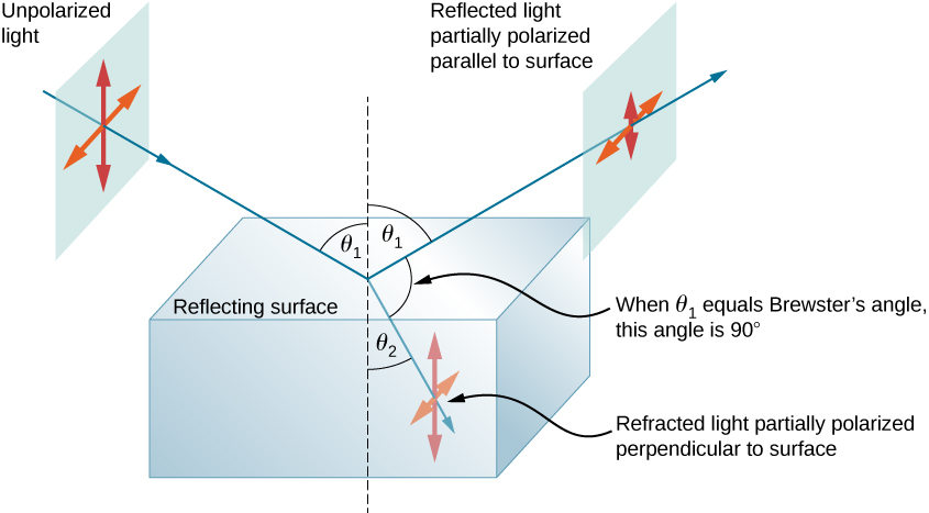 The figure is a diagram that shows a block of glass in air. The reflecting surface is horizontal. A ray labeled unpolarized light starts at the upper left and hits the center of the block, at an angle theta one to the vertical. Centered on this incident ray is are two double headed arrows, one horizontal and the other vertical. From the point where this ray hits the glass block, two rays emerge. One is the reflected ray that goes up and to the right at an angle of theta one to the vertical, and the second is a refracted ray that goes down and to the right at an angle of theta two to the vertical. The reflected light is labeled as partially polarized parallel to the surface. Two double headed arrows, similar to those on the incident ray, are shown centered on the reflected ray, but the vertical arrow is significantly shorter than the horizontal one. The refracted ray is labeled as partially polarized perpendicular to the surface. Two double headed arrows, similar to those on the incident ray, are shown centered on the reflected ray, but the horizontal arrow is significantly shorter than the vertical one. A note indicates that when theta one equals Brewster’s angle, the angle between the reflected and refracted ray is ninety degrees.