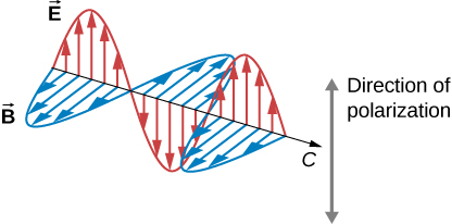以速度 c 移动的电磁波的一部分在某一时刻显示。 图中显示了两个矢量分量，即 E 和 B，它们彼此垂直并垂直于传播方向。 代表 E 的大小和方向的向量，显示为箭头，其尾部位于波浪的传播线上，在一个平面上形成正弦波。 同样，B 向量在垂直于 E 波的平面中形成正弦波。 E 波和 B 波是同相的。 极化方向由 E 向量的方向给出。