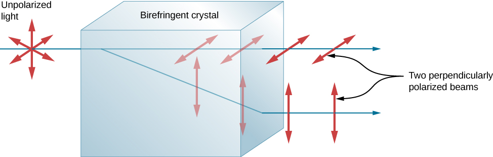 A figura mostra um raio de luz horizontal não polarizado incidente em um bloco chamado cristal birrefringente. O raio é perpendicular à face do cristal onde ele entra. O raio incidente se divide em dois raios quando entra no cristal. Uma parte do raio continua em linha reta. Esse raio é polarizado horizontalmente. A outra parte do raio se propaga em um. Esse raio é polarizado verticalmente. O segundo raio refrata ao sair do cristal, de forma que os dois raios fiquem paralelos fora do cristal. Os raios são rotulados como dois feixes polarizados perpendicularmente.