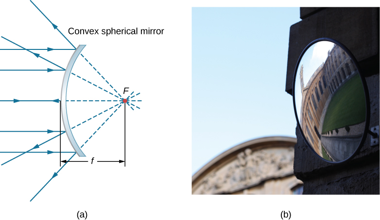 Figure a shows the cross section of a convex mirror.  Parallel rays reflect from it and diverge in different directions.  The reflected rays are extended at the back by dotted lines and seem to originate from a single point behind the mirror.  This point is labeled F. The distance from this point to the mirror is labeled f.  Figure b shows the photograph of a convex mirror reflecting the image of a building.  The image is curved and distorted.