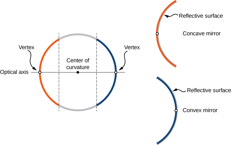 Figure a shows a circle, divided by two parallel lines, forming two arcs, orange and blue.  A line labeled optical axis runs through the center of the circle, intersecting it at the mid-points of both arcs.  Each mid-point is labeled vertex.  Figure b shows the orange arc, labeled concave mirror, with the reflective surface shown on the inside.  Figure c shows the blue arc, labeled convex mirror, with the reflective surface shown on the outside.