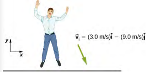 A drawing of a person near the ground. His velocity vector is directed down and slightly to the left and is given as 3.0 meters per second i hat minus 9.0 meters per second j hat. The x y directions are shown for reference, with x to the right and y upward.