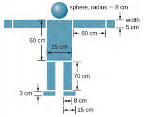 Um diagrama de várias massas dispostas para parecer o modelo de uma pessoa é mostrado. No topo está uma esfera, raio de 8 cm. Centralizado abaixo, há um retângulo de 25 cm de largura na horizontal e 60 cm de altura que se parece com o corpo da pessoa. Em ambos os lados do retângulo, há retângulos medindo 60 cm na horizontal e 5 cm de altura que parecem os braços estendidos. A parte superior ou os braços estão alinhados com a parte superior do corpo, e cada braço se estende horizontalmente pelas laterais do corpo. No final de cada braço há um quadrado de 5 cm de largura. Abaixo do corpo estão as pernas. Cada perna tem 70 cm de altura e 8 cm de largura. A parte superior das pernas está alinhada com a parte inferior do corpo. Os lados externos das pernas estão alinhados com os lados do corpo. Abaixo de cada perna estão os pés, que têm 3 cm de altura e 15 cm de largura. O lado interno de cada pé está alinhado com o lado interno da perna acima dele.