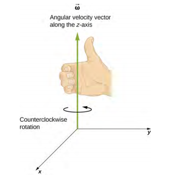 图形显示了 XY 平面上逆时针旋转的 XYZ 坐标系。 角速度指向 Z 正方向。