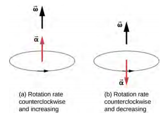 图 A 显示了逆时针方向的旋转。 角加速度与角速度的方向相同。 图下方的文字显示 “逆时针旋转速度并增加。 图 B 显示顺时针方向的旋转。 角加速度的方向与角速度相反。 图下方的文字显示 “顺时针旋转速度并递减。