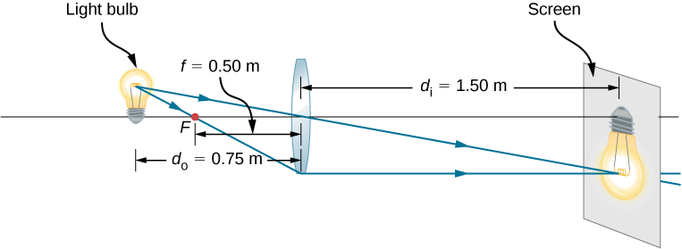 A figura mostra uma lente biconvexa com distância focal de 0,5 metros e uma lâmpada colocada 0,75 metros na frente dela. Uma imagem invertida da lâmpada é formada em uma tela colocada 1,5 metros atrás da lente.