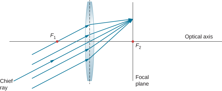 该图显示了彼此平行但不平行于光轴的光线，它们进入双凸透镜并在焦平面上的某个点在另一侧会聚。 焦平面的横截面显示为一条垂直于光轴并在焦点处与光轴相交的直线。