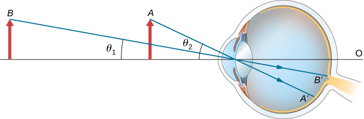 两个相同大小的物体显示在眼睛前面。 物体 A 离眼睛更近，与光轴形成一个 theta 2 的角度。 物体 B 距离更远，与光轴形成一个 theta 1 的角度。 在眼睛内部，光线照射视网膜。 射线 B 素数比射线 A 素数更接近光轴。