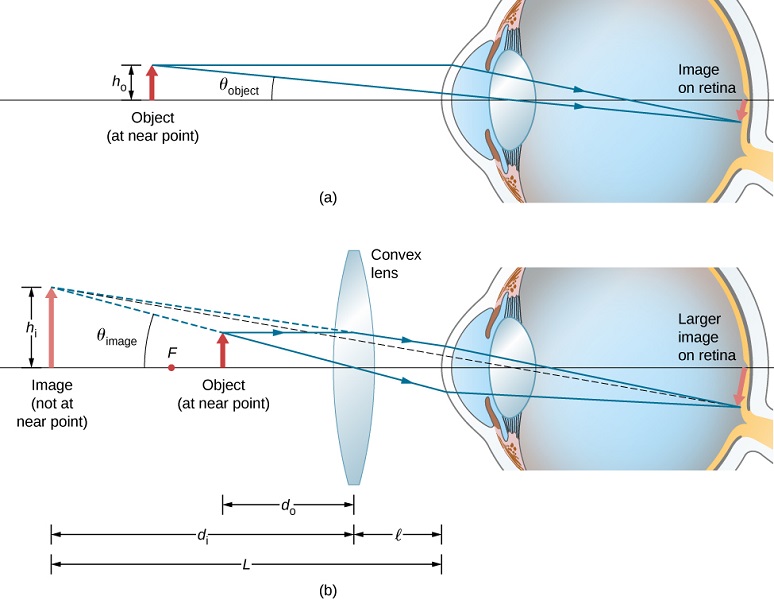 Figure a shows an object with height h 0 in front of an eye, at the near point. An image that is smaller than the object is formed on the retina. Figure b shows a bi-convex lens between the eye and the object. Rays from the object go through this and enter the eye to form a larger image on the retina. The back extensions of the rays deviated by the lens converge behind the object to form an image that is larger than the object. The distance of this image from the lens is d subscript i and that of the object from the lens is d subscript o. The distance of the lens from the eye is l. The distance of the image from the eye is L. The height of the image is h subscript i.