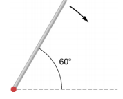 Figure shows a rod that is released from rest at an angle of 60 degrees with respect to the horizontal.