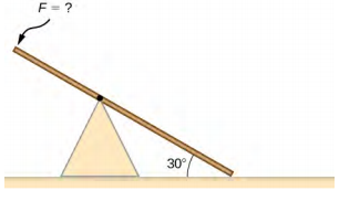 La figure montre une bascule. L'une des extrémités de la bascule repose sur le sol en formant un angle de 30 degrés avec elle, l'autre extrémité est suspendue en l'air.