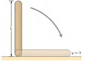 La figure montre une tige uniforme de longueur L et de masse M maintenue verticalement avec une extrémité reposant sur le sol. Lorsque la tige est relâchée, elle tourne autour de son extrémité inférieure jusqu'à ce qu'elle touche le sol.