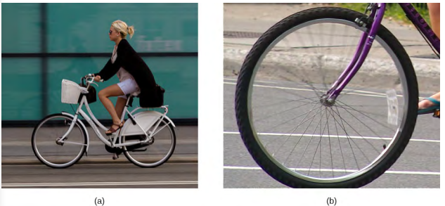 A Figura a é uma fotografia de uma pessoa andando de bicicleta. A câmera acompanhou a bicicleta, então a imagem da bicicleta e do ciclista é nítida, o fundo ficou desfocado devido ao movimento da bicicleta. A Figura b é uma fotografia de uma roda de bicicleta rolando no chão, com a câmera parada em relação ao solo. A roda e os raios estão borrados na parte superior, mas transparentes na parte inferior.