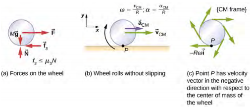 图 a 显示了车轮的自由车身图，包括力作用的位置。 显示了四种力：M g 是作用在车轮中心的向下力。 N 是作用于车轮底部的向上力。 F 是向右的力，作用在车轮的中心，f sub s 是作用在车轮底部的左侧力。 f sub s 的力小于或等于 mu sub s 乘以 N。图 b 是车轮在水平表面上滚动而不滑动的示意图。 点 P 是车轮底部和表面之间的接触点。 轮子顺时针旋转，sub C M 右侧有加速度，v sub V M 右侧有速度。给出了 omega 等于 v sub C M 比 R 的关系，alpha 等于 R 之上的子 C M。 显示了一个坐标系，其右侧为正 x，正向上 y。 图 c 显示了质心框架中的轮子。 点 P 的速度矢量相对于车轮的质心处于负方向。 该向量显示在图中，标记为减去 R omega i hat。 它与底部的轮子相切，指向左边。 显示了车轮边缘不同位置的附加向量，所有向量都与车轮相切并指向顺时针。