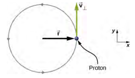 A proton moves in a counterclockwise circle. The circle has radius r. The proton is shown when it is to the right of the center of the circle, and its velocity is v sub perpendicular in the upward, positive y, direction.