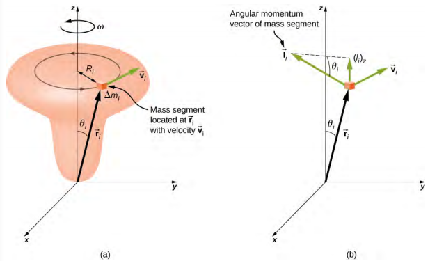 Figure a shows a door-knob shaped object and an x y z coordinate system. The object is arranged vertically and centered on the z axis, with the wide knob at the top. The object is rotating about the z axis, counterclockwise as viewed from above, with angular velocity omega. A small part of the object is highlighted. This mass segment, labeled Delta m sub i, is located at vector r sub i, moves with velocity vector v sub i, and traces a counterclockwise circle of radius R sub i. The vector r sub i extends from the origin to the mass segment and makes an angle of theta sub i with the z axis. The vector v sub i is tangent to the circle traced by the mass segment. Figure b shows the x y coordinate system and the mass segment. Vectors r sub i and v sub i are shown again, as is the angle theta sub i between the vector r sub i and the z axis. The angular momentum vector of the mass segment, vector l sub i, is also shown. The vector l sub i is perpendicular to both r and v, as given by the right hand rule, and has a z component upward, shown on the diagram and labeled l sub i z. The remaining side of the right triangle whose hypotenuse is l sub i and vertical side is l sub i z is shown as a dashed line. The angle adjacent to this side, and opposite the vertical side l sub i z, is theta sub i.