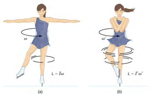 Two illustrations of a spinning ice skater. In figure a, on the left, the skater has her arms and one foot extended away from her body. She is spinning with angular velocity omega and L equals I times omega. In figure b, on the right, the skater has her arms and foot pulled close to her body. She is spinning faster, with angular velocity omega prime and L equals I prime times omega prime.