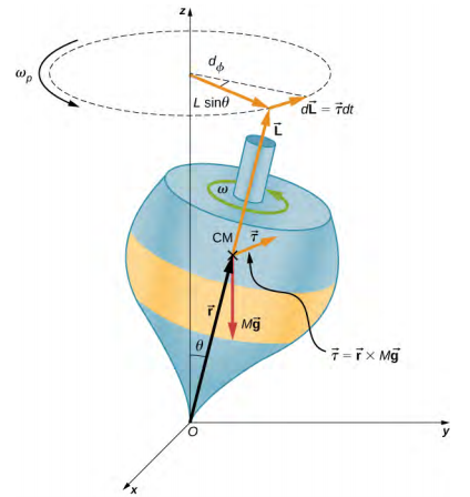 An x y z coordinate system is show, with x out of the page, y to the right, and z up. The origin is point O. A top is shown with its point at the origin and its axis tilted by an angle theta away from the vertical z axis, clockwise as we view it. The vector r extends from the origin to the center of the mass, labeled as C M, of the top. The force M g acts downward at the center of mass. The torque, tau, about the origin is equal to vector r crossed with M vector g. This torque is a vector in the x y plane, perpendicular to the r vector, into the page. The angular velocity, omega, of the top is counterclockwise as viewed from above. The angular momentum, L, is in the same direction as the r vector, tilted up along the axis of the top. The circle traced by the precession of the top is shown as a horizontal circle above the top. The precession angular velocity omega sub p is counterclockwise as viewed from above. The radius of the precession circle is L sine theta. The vector d L is tangent to the circle, pointing into the page, and is equal to vector tau d t. The triangle formed L sine theta and d L is shown, and the angle across from d L is labeled as d phi.