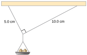 Figure shows small pan of mass supported by two strings intersecting at a 90 degree angle. The length of one string is 5 centimeters, the length of another string is 10 centimeters.