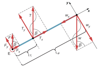 图为前臂的自由身体图。 力 F 施加于 E 点。力 T 施加于 r tau 距点 E 的距离 r tau 处。力 W 施加在与 E 点 r w 隔开的另一侧。显示了 x 和 y 轴上的力的投影。 力 F 和 T 与 x 轴形成角度 beta。 Force W 形成一个角度 beta，用直线将其与投影到 y 轴连接起来。