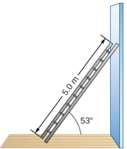 Figure is a schematic drawing of a 5.0-m-long ladder resting against a wall. Ladder forms a 53 degree angle with the floor.