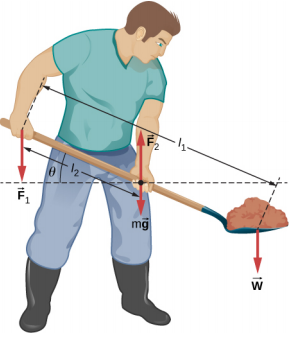 Figure shows a gardener lifting a shovel full of ground with both hands. Force F1 is applied to the back hand. Force F2 is applied to front hand. Force w is applied to the front of shovel with ground. Distance between the back hand and front of shovel is l1. Distance between the back and front hands is l2. Angle between the shovel and line parallel to the ground is theta.