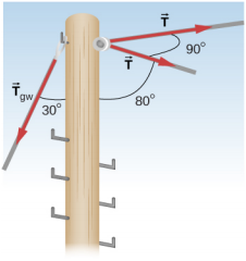 Figure shows a pole to which two forces T and force Tgw are applied. There is a 90 degree angle between two T forces. There is an 80 degree angle between the plane T forces are applied anf the pole. There is a 30 degree angle between Tgw and the pole.